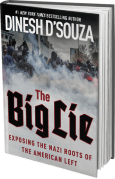 The Big Lie, book cover